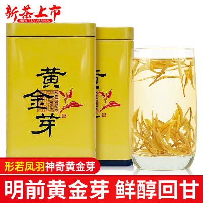 [正宗核心原产]2023新茶黄金芽茶叶开园特级安吉白茶黄金叶黄茶叶