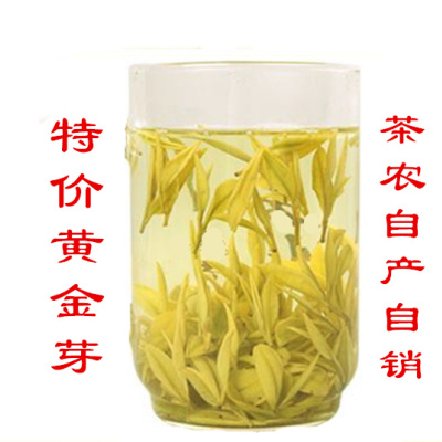 2022年新茶绿茶黄茶茶叶正宗安吉白茶特级黄金芽250g精美罐装