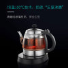 吉谷旗舰店TA0303高硼硅玻璃煮茶壶恒温电水壶电热烧水壶养生茶壶