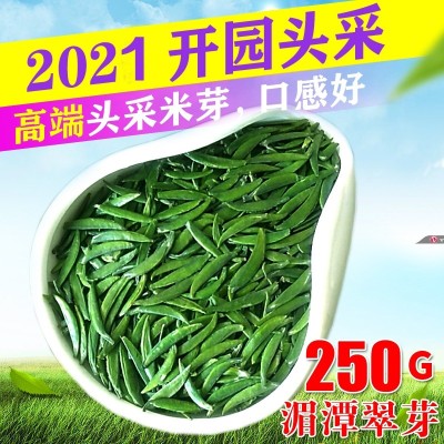 湄潭翠芽2020新茶明前特级嫩芽雀舌绿茶贵州茶叶高山手工炒青250g