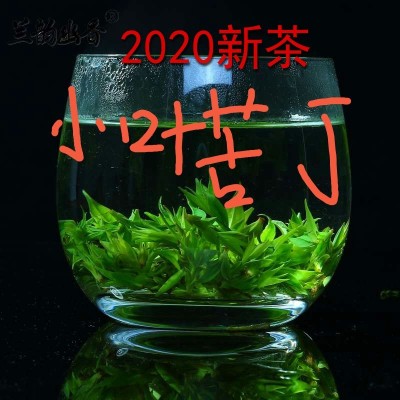 2023年新茶青山绿水小叶苦丁茶500克装苦丁茶毛冬青茶米芽花苞 包装