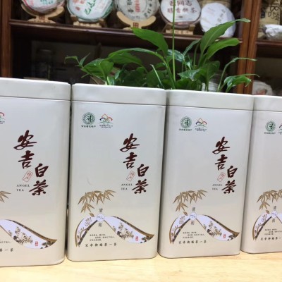 安吉白茶，经济实惠又好喝的明前头道新茶500克口粮茶