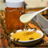 【买一斤发二斤】天然野生正宗土蜂蜜 500克农家自产自销纯真百花蜜成熟