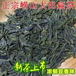 茶农自产自销崂山绿茶2023新茶大田春茶头采明前扁茶特级500克崂山茶