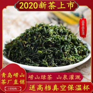 茶叶崂山绿茶春茶2023新茶碧螺春大田茶豌豆香浓香型高山云雾包邮