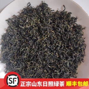 【全是好评】山东日照绿茶2023新茶一级炒青浓香型茶叶顺丰包邮
