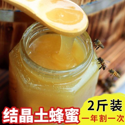 【买1送1】秦岭土蜂蜜土法割蜜野生天然农家自产纯蜂蜜正品成熟蜜