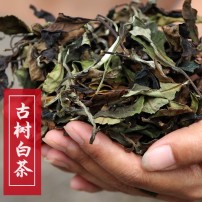 云南古树月光白茶2013头春礼盒包装350克白茶自产自销古树白茶 