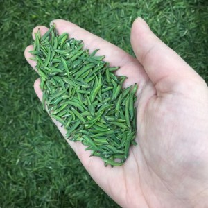 【春茶现货】竹2021新茶峨眉高山绿茶(品味)250克