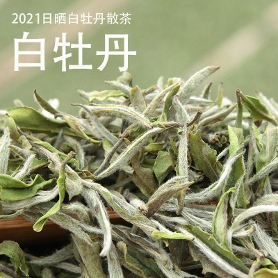 福鼎白茶2021年日晒明前白牡丹散装茶250克