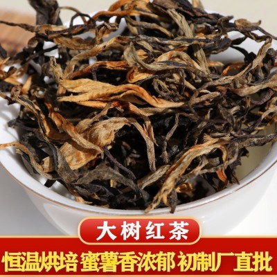 茶厂批发2023春云南蜜香滇红茶200年以上普洱大树红茶500克散装 