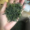 明前新茶 六安瓜片绿茶500g包邮 超高性价比