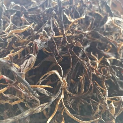 普洱古树红茶