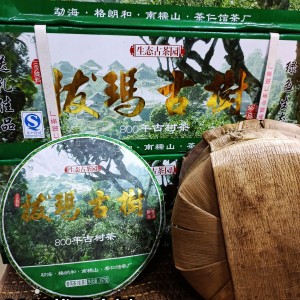 厂家直销2017年拔玛古树普洱茶生茶25年古树原料压制性价比超高