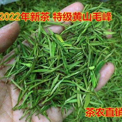 2022年新茶绿茶 正宗明前特级黄山毛峰250g茶叶特惠仅售188元