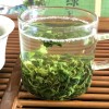 浓香日照绿茶袋装2023新茶豆香特级茶叶正宗山东青岛特产袋装500g