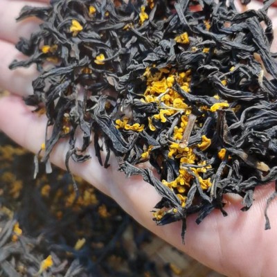 500g桂花红茶浓香型高山野茶正山小种红茶