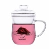 北大史玻璃茶杯带把家用透明过滤耐热办公泡茶花茶杯套装可爱水杯