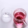 北大史玻璃茶杯带把家用透明过滤耐热办公泡茶花茶杯套装可爱水杯