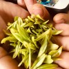 2019新茶黄金芽 黄金叶 特级黄金芽安吉白茶250g