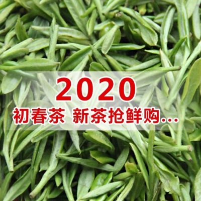 【现货】绿茶2021新茶特级蒙顶甘露蒙顶山茶早春头采嫩芽高山茶叶