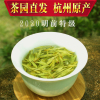 龙井2024年新茶叶杭州绿茶非特级正宗豆香明前龙井茶散装500g