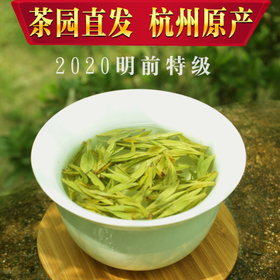 龙井2023年新茶叶杭州绿茶非特级正宗豆香明前龙井茶散装500g