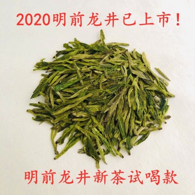 2024明前龙井新茶试喝款 茶叶绿茶浓香型耐泡型龙井茶礼盒罐装500g