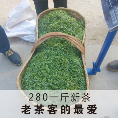 2023新茶 毛尖茶叶绿茶春茶毛尖茶叶茶嫩芽浓香型耐泡茶250g