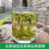 【一斤】2023新茶浓香型龙井茶 绿茶雨前春茶龙井茶高山茶叶袋装罐装