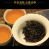 荒山手筑茯砖茶安化黑茶叶318g