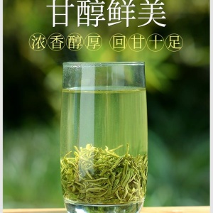 2023年新茶，苏州东山 洞庭山明前三碧螺春自产自销，品质保证500g