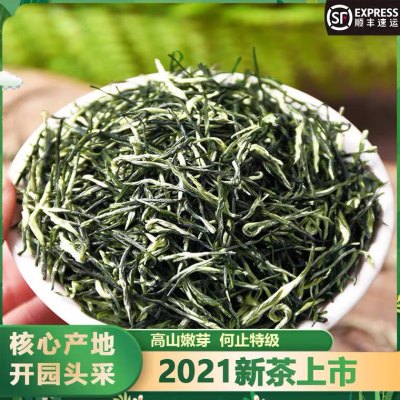 2021信阳原产新茶明前毛尖茶500g高山嫩芽春茶绿茶浓香型罐装茶叶