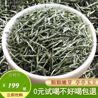 2024新茶毛尖茶叶信阳原产明前特级嫩芽浓香型绿茶罐装毛尖茶500g