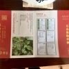 真正纯有机白茶寿眉福鼎白茶 值得收藏的好茶199g珍稀有机白茶
