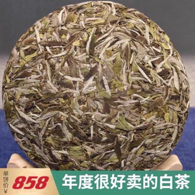 2021福鼎白茶高山牡丹王特级白毫白牡丹茶叶散装茶饼磻溪明前300g