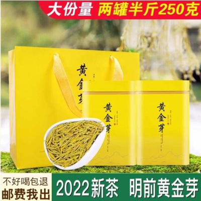 黄金芽安吉白茶2022新茶春茶明前特级礼盒装250g罐装正宗绿茶叶