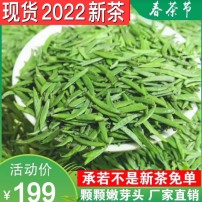 竹叶青茶叶2022年新茶上市峨眉高山绿茶特级(品味)自饮袋装250g