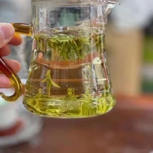 精选龙井茶2023新茶特级浓香型绿茶明前茶叶豆香龙井绿茶