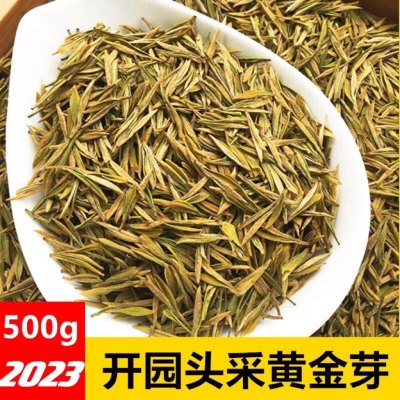 黄金芽茶叶开园头采2024年新茶明前特级极品安吉珍稀白茶500克包邮