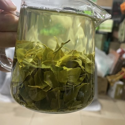 日照绿茶2023年新茶 浓香型板栗香手工茶原产地直发500g包邮