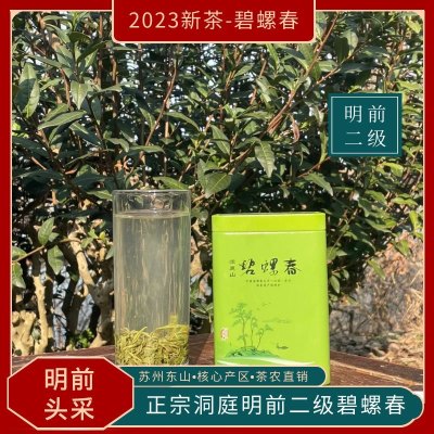 【2023年新茶】洞庭山纯手工碧螺春明前 二级一芽一叶