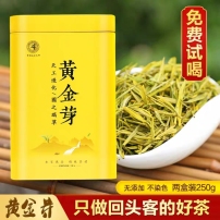 安吉白茶黄金芽明前特级2023春茶新茶250g罐装浙江正宗珍稀绿茶叶