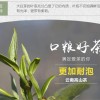 2020春茶预售景谷普洱生茶散装特级古树白茶白毫银针 大白芽500克