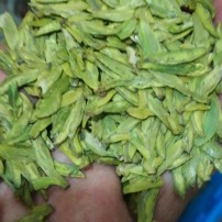 大佛龙井茶，明前特级茶125克x4罐质量保证，如质量不好包退。