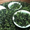新茶铁观音 茶农自产自销 品质好茶顶级韵香观音王 新枞茶树采摘