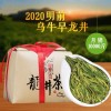 绿茶2020新茶 乌牛早龙井茶绿茶特级茶叶 250g装浓香型龙井茶叶 