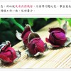 金边玫瑰花250g 云南丽江野生玫瑰花茶散装