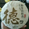2010野生白牡丹，300克/饼，福鼎白茶老牡丹